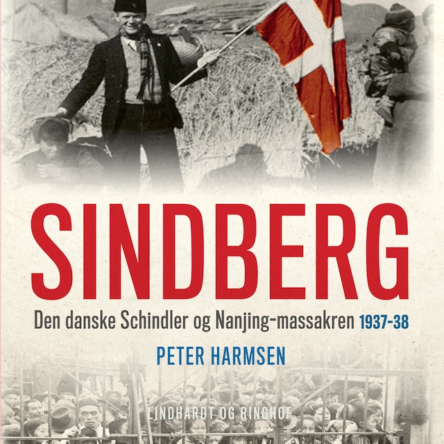 Book cover for Sindberg