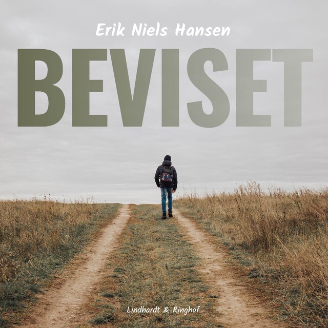 Book cover for Beviset