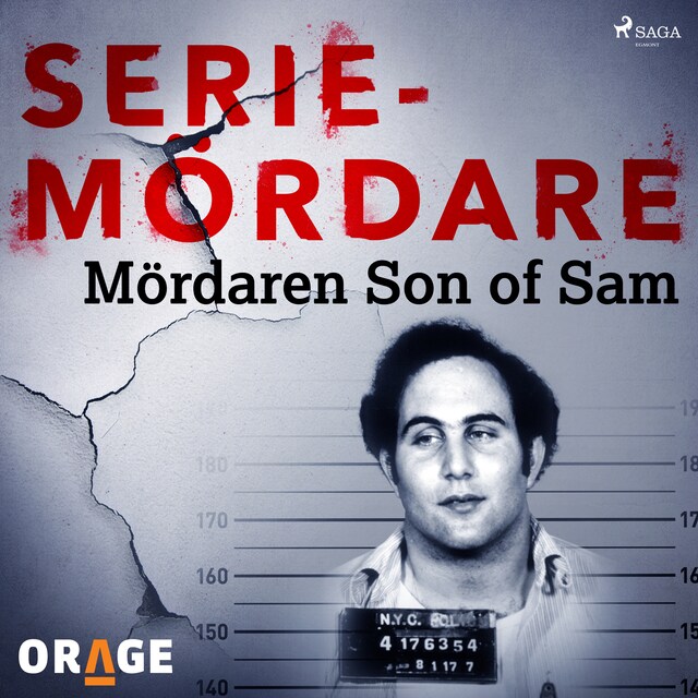 Book cover for Mördaren Son of Sam