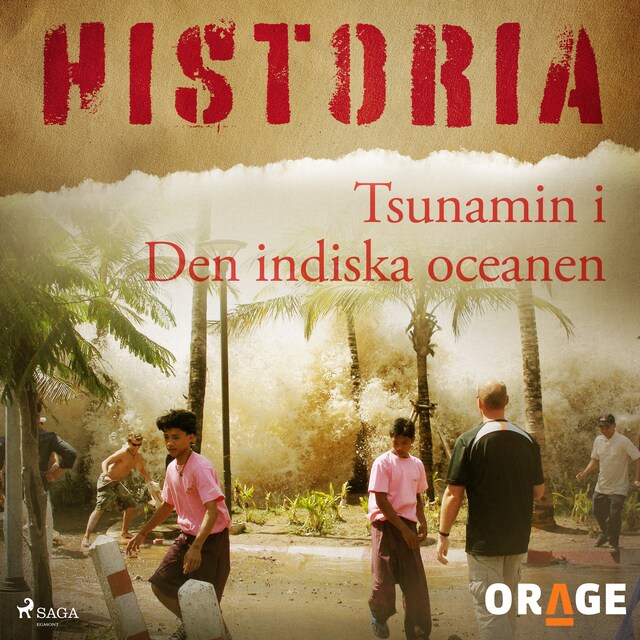 Copertina del libro per Tsunamin i Den indiska oceanen