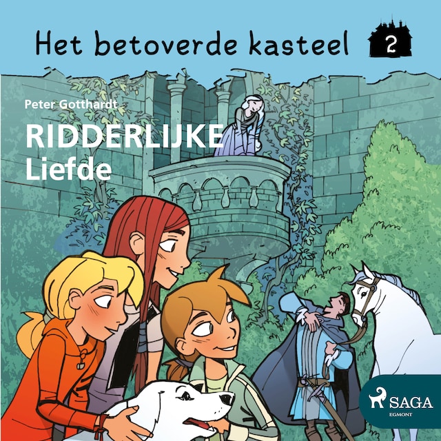 Copertina del libro per Het betoverde kasteel 2 - Ridderlijke Liefde