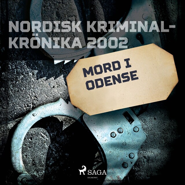 Book cover for Mord i Odense