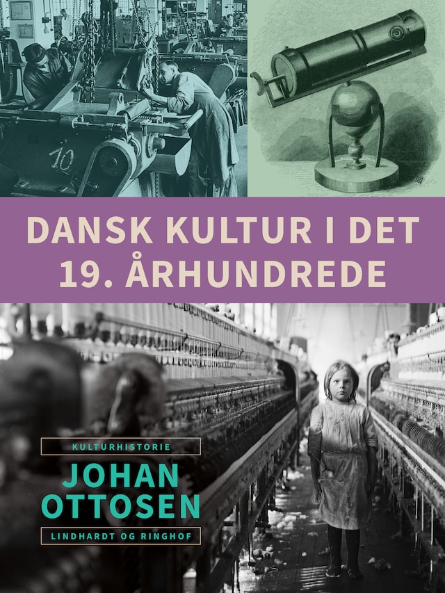 Book cover for Dansk kultur i det 19. århundrede