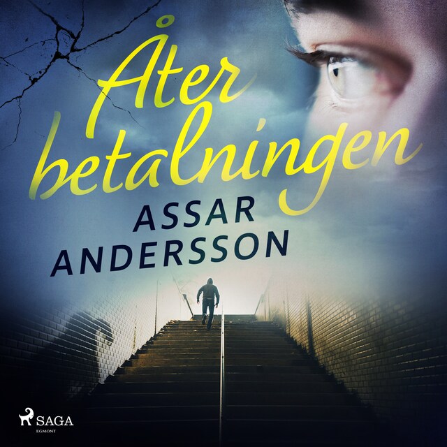 Book cover for Återbetalningen