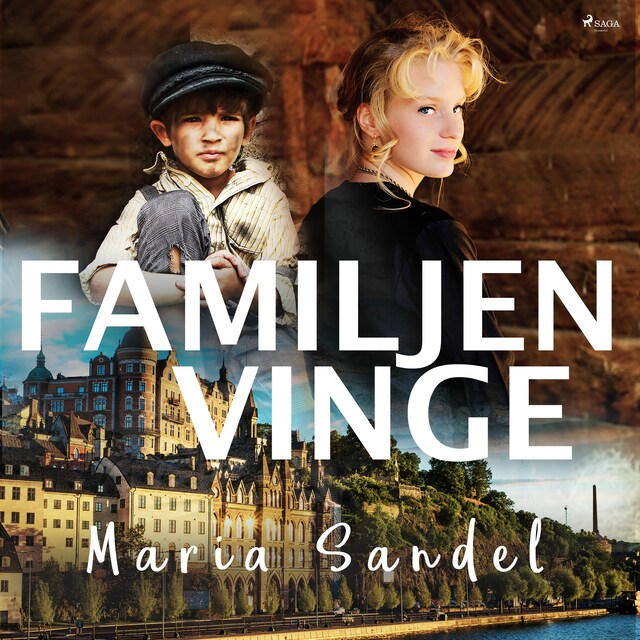Book cover for Familjen Vinge