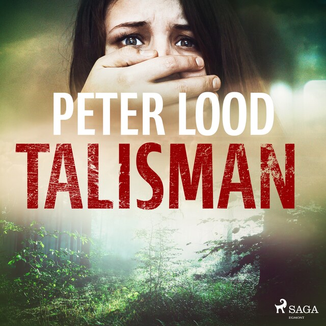 Book cover for Talisman