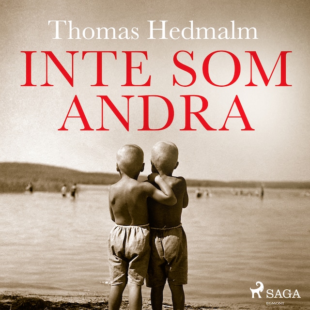 Book cover for Inte som andra