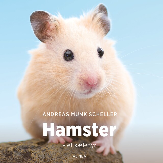 Bogomslag for Hamster - et kæledyr