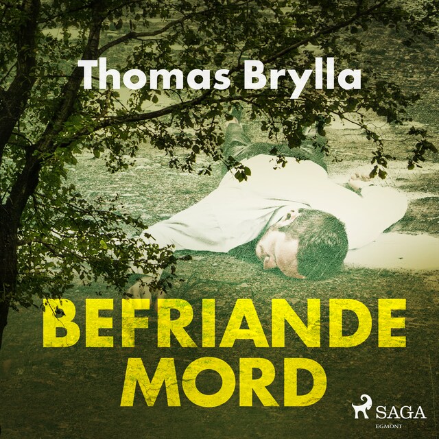 Couverture de livre pour Befriande mord