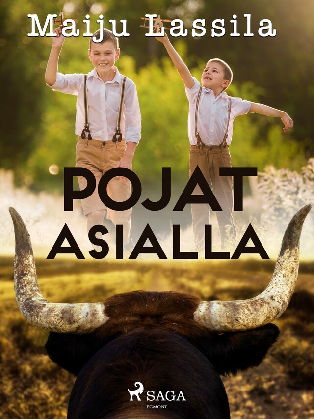 Book cover for Pojat asialla