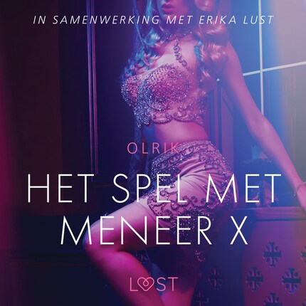 Het spel met meneer X - erotisch verhaal bookCoverFor