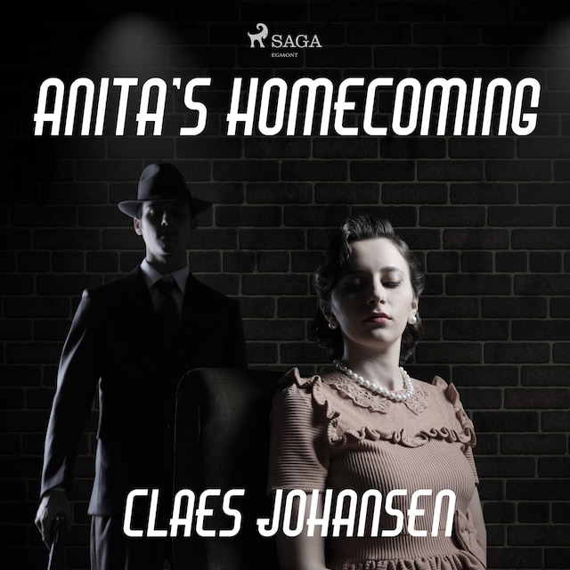 Book cover for Anita’s Homecoming
