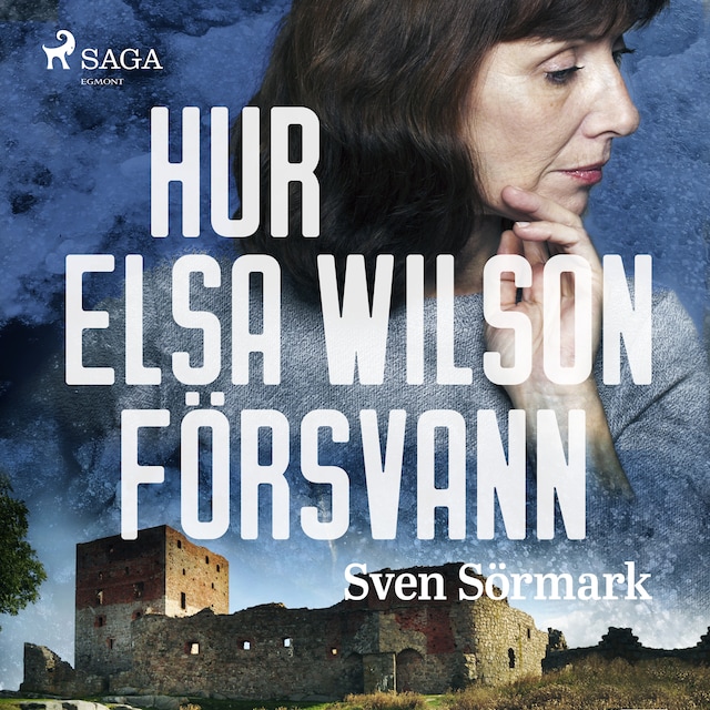 Buchcover für Hur Elsa Wilson försvann