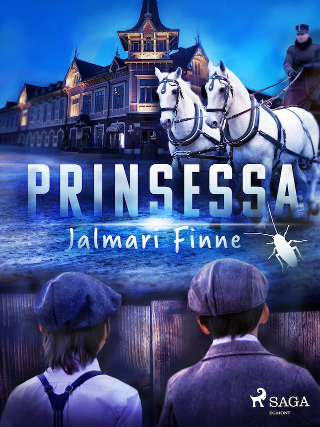 Book cover for Prinsessa