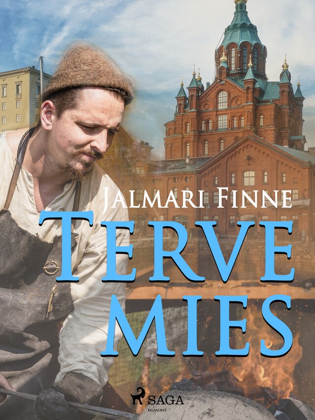 Book cover for Terve mies