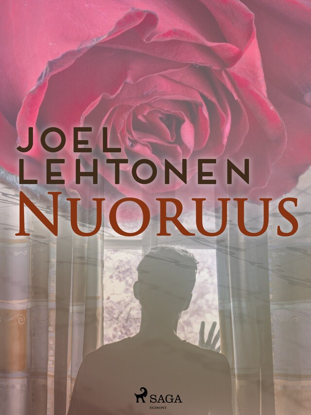 Book cover for Nuoruus