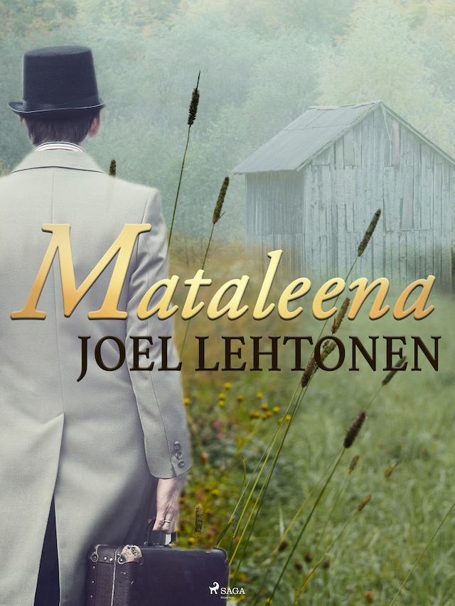 Book cover for Mataleena