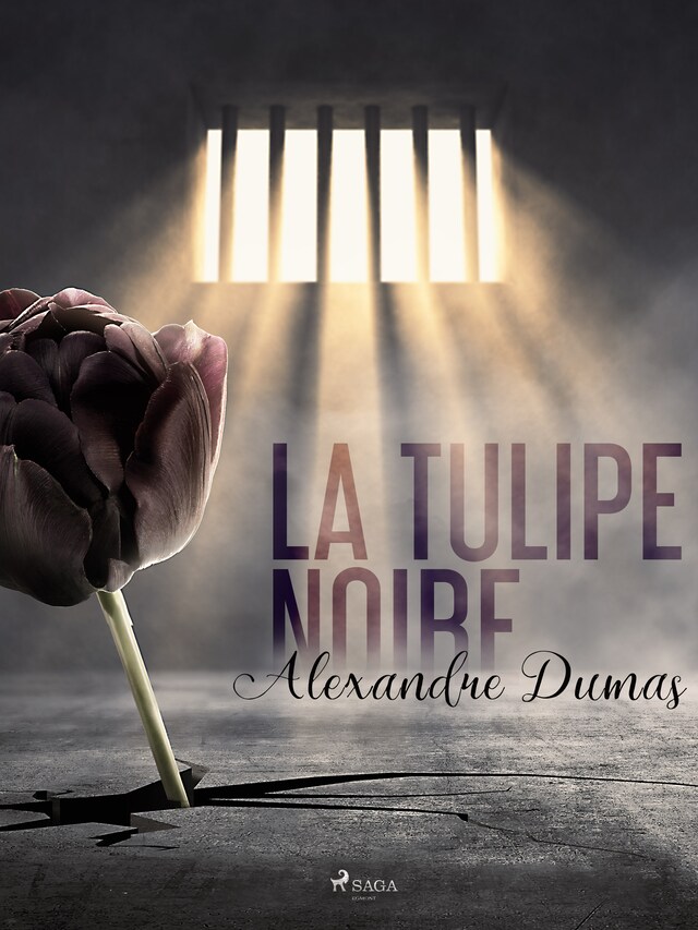 Book cover for La Tulipe noire