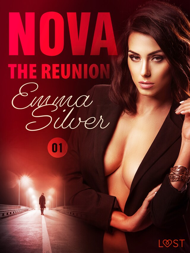 Book cover for Nova 1: The Reunion - Erotic Short Story