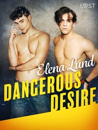 Dangerous Desire - Erotic Short Story