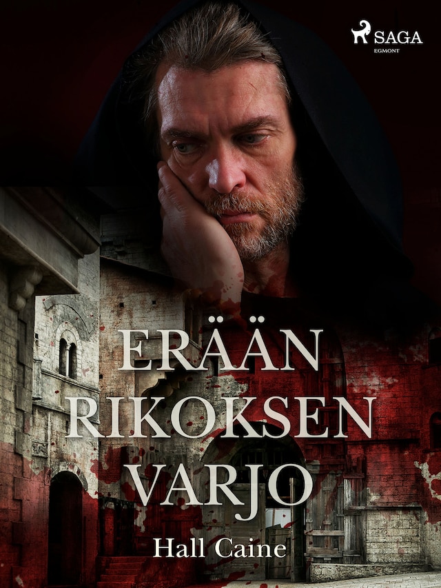 Book cover for Erään rikoksen varjo