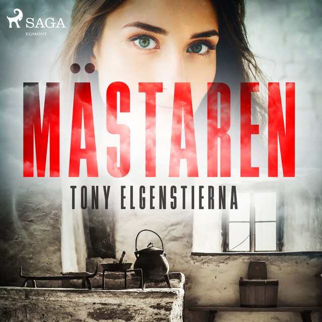 Copertina del libro per Mästaren