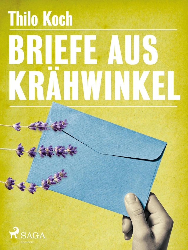 Book cover for Briefe aus Krähwinkel