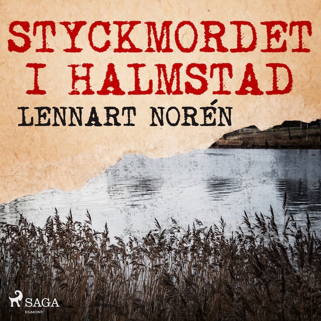 Book cover for Styckmordet i Halmstad