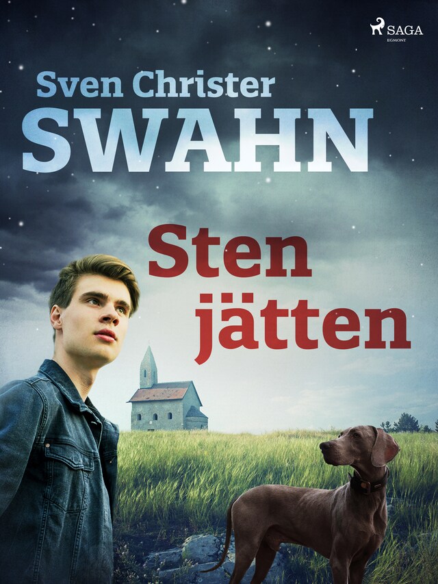 Buchcover für Stenjätten