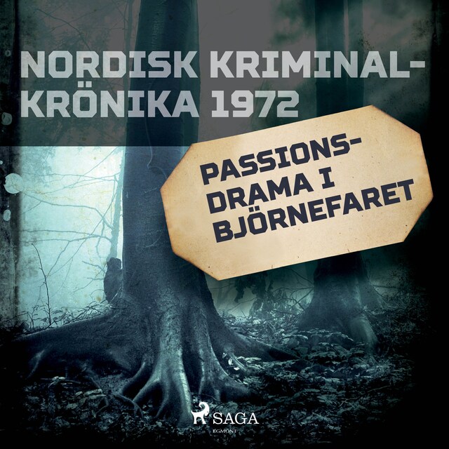 Book cover for Passionsdrama i Björnefaret