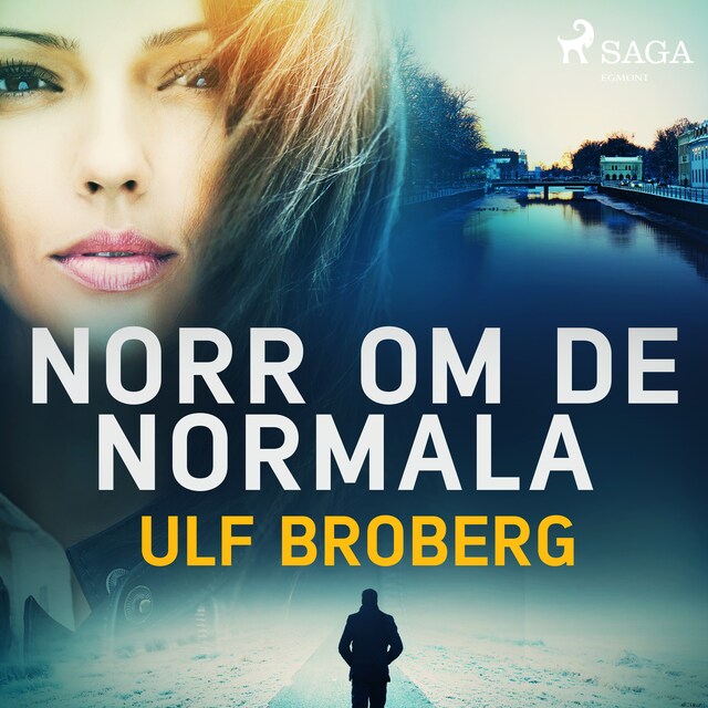 Book cover for Norr om de normala