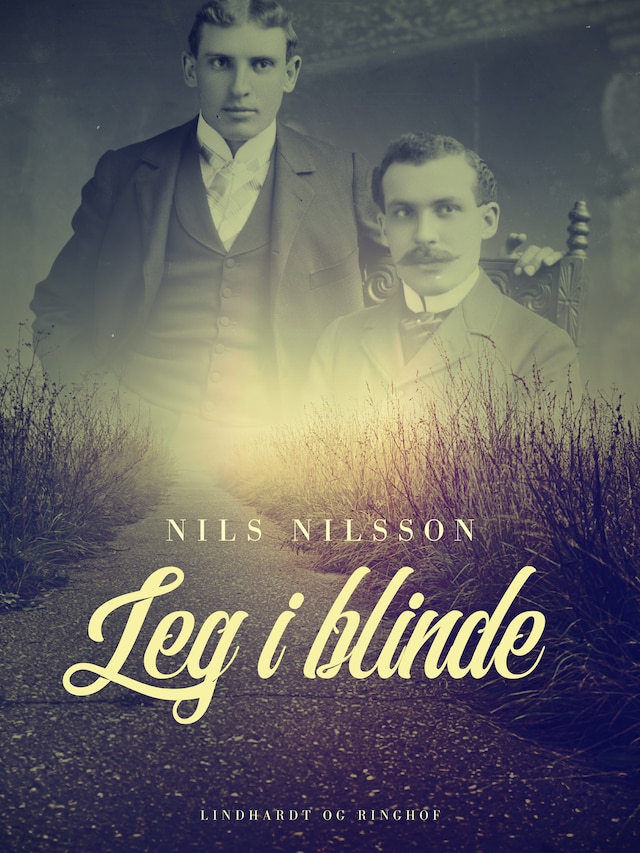 Book cover for Leg i blinde