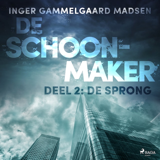 Book cover for De Schoonmaker 2 - De sprong