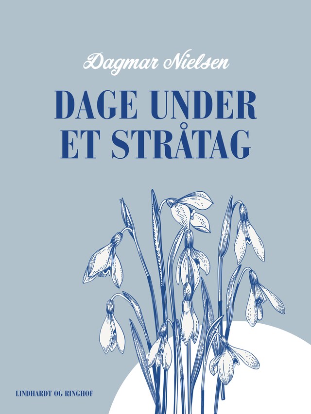 Bogomslag for Dage under et stråtag