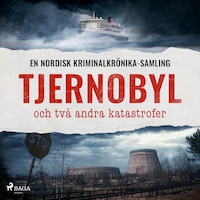 Tjernobyl och två andra katastrofer