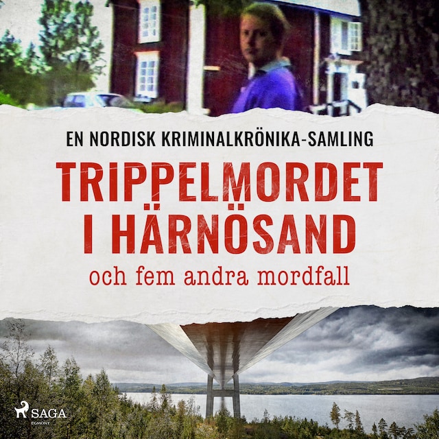 Book cover for Trippelmordet i Härnösand, och fem andra mordfall
