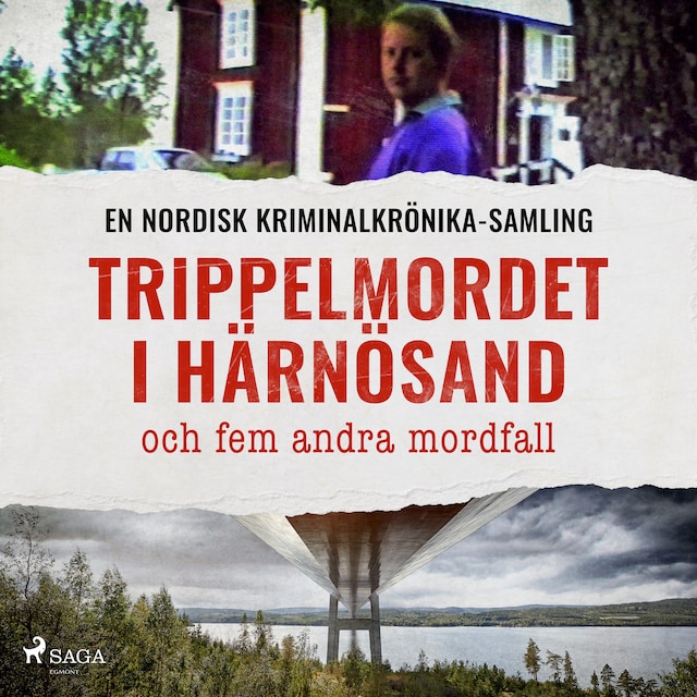 Bokomslag for Trippelmordet i Härnösand, och fem andra mordfall