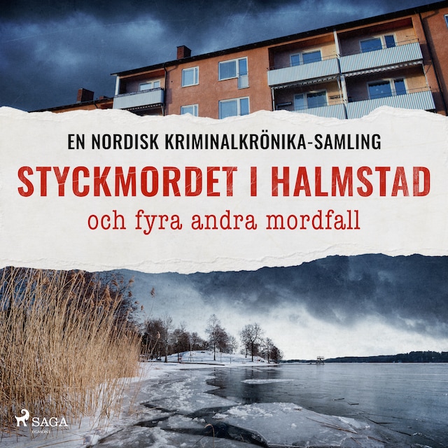 Couverture de livre pour Styckmordet i Halmstad och fyra andra mordfall
