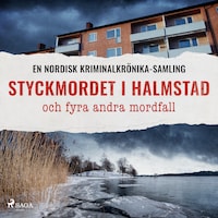 Styckmordet i Halmstad och fyra andra mordfall