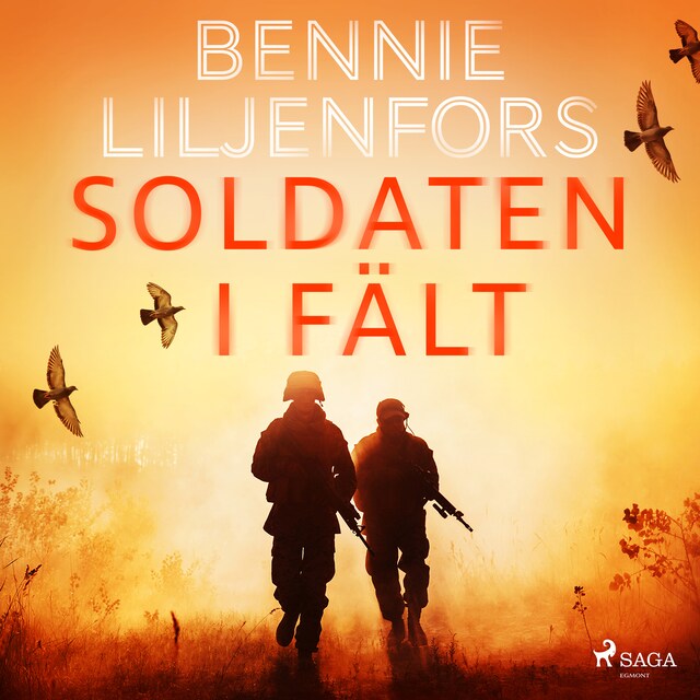 Book cover for Soldaten i fält