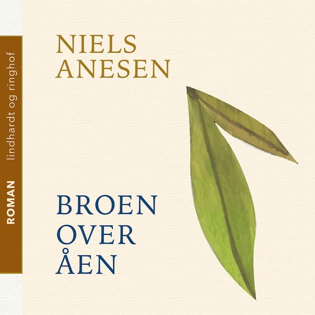 Book cover for Broen over åen