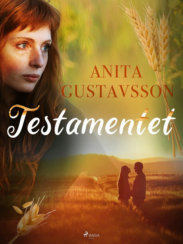 Couverture de livre pour Testamentet