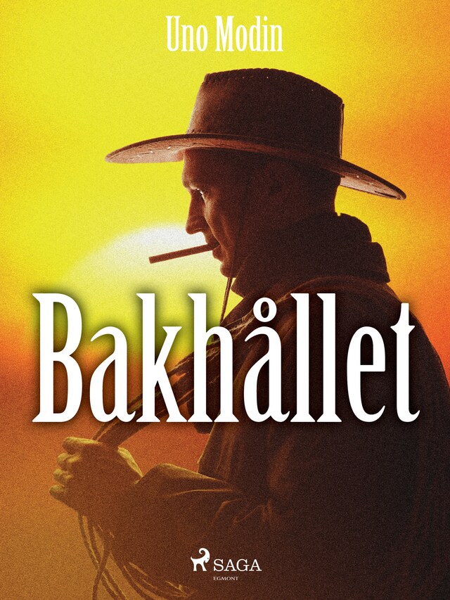 Book cover for Bakhållet
