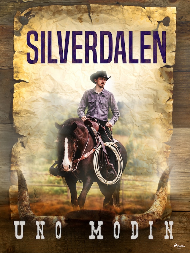 Book cover for Silverdalen