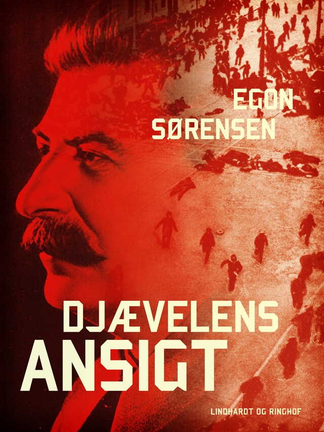 Book cover for Djævelens ansigt