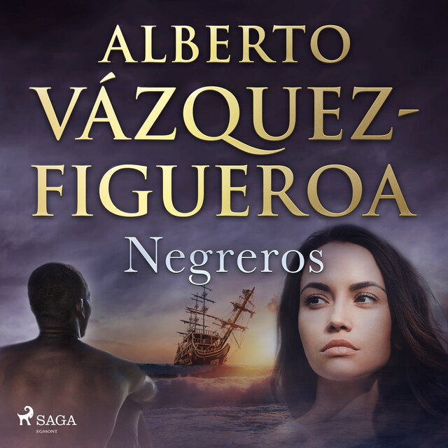 Book cover for Negreros