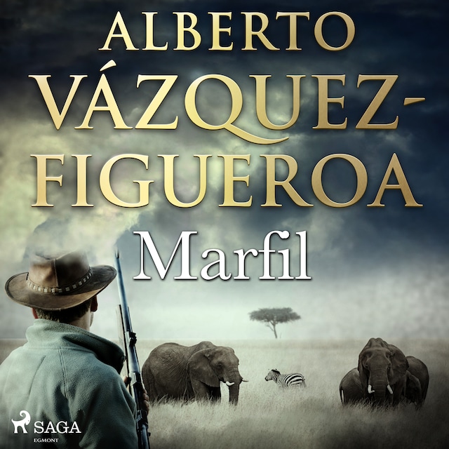 Book cover for Marfil