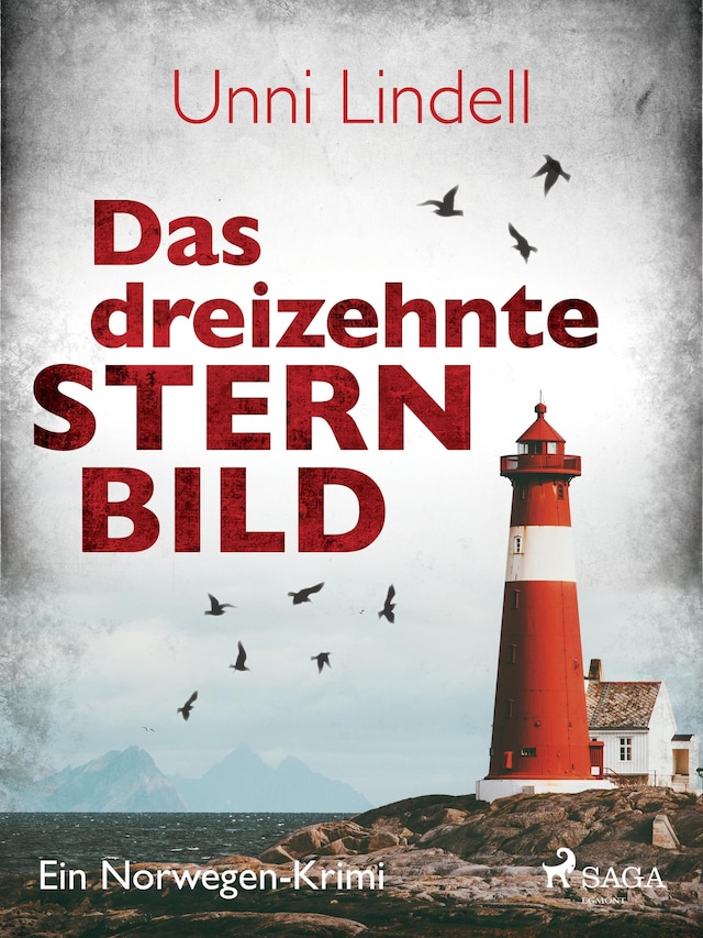 Book cover for Das dreizehnte Sternbild - Ein Norwegen-Krimi