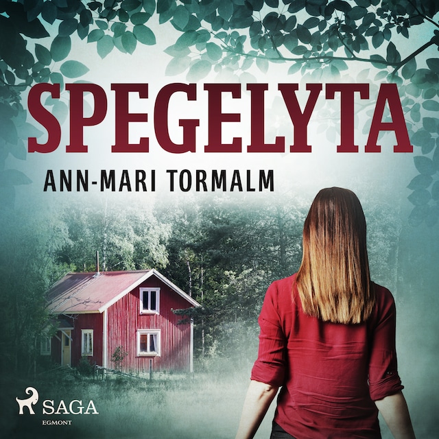 Book cover for Spegelyta