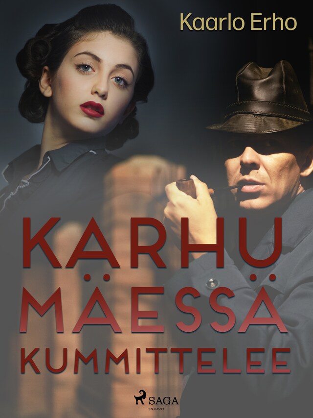 Book cover for Karhumäessä kummittelee